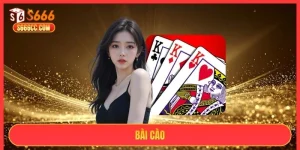 bài cào