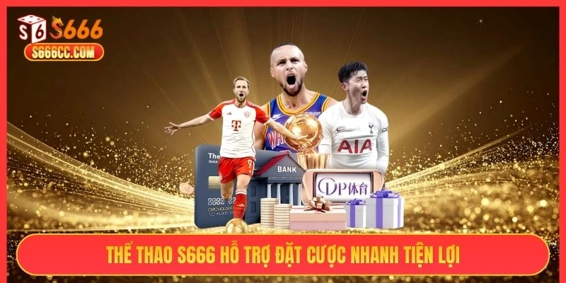 Thể thao hỗ trợ đặt cược nhanh tiện lợi